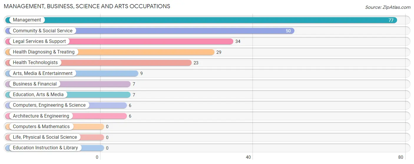 Management, Business, Science and Arts Occupations in Zip Code 28766