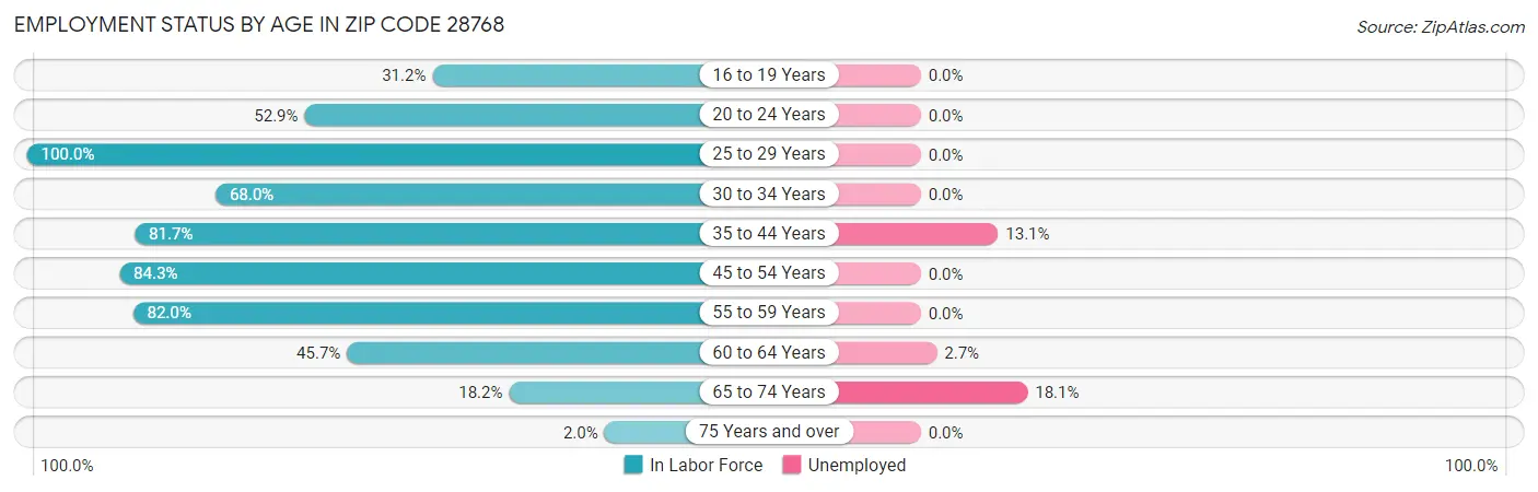 Employment Status by Age in Zip Code 28768
