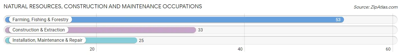 Natural Resources, Construction and Maintenance Occupations in Zip Code 28772