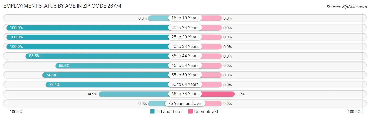 Employment Status by Age in Zip Code 28774