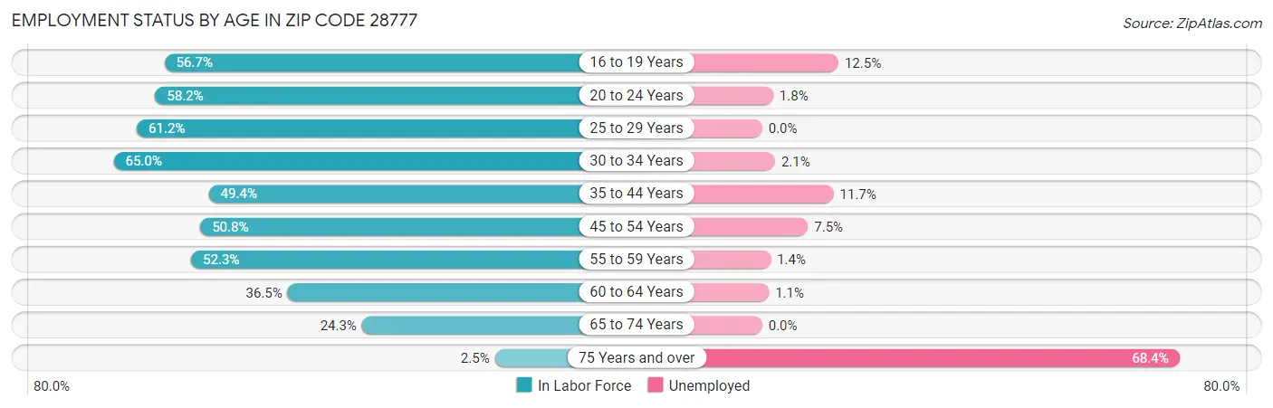 Employment Status by Age in Zip Code 28777