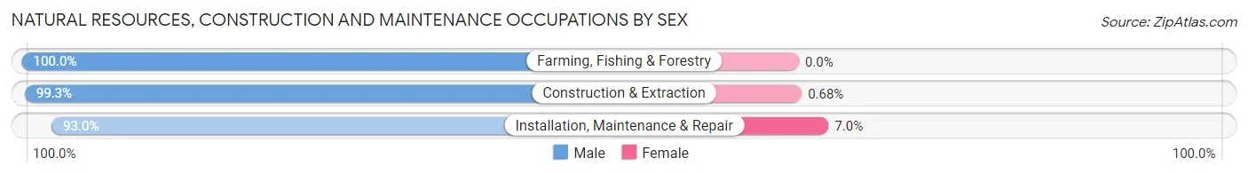 Natural Resources, Construction and Maintenance Occupations by Sex in Zip Code 28778