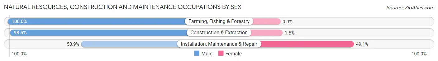 Natural Resources, Construction and Maintenance Occupations by Sex in Zip Code 28779