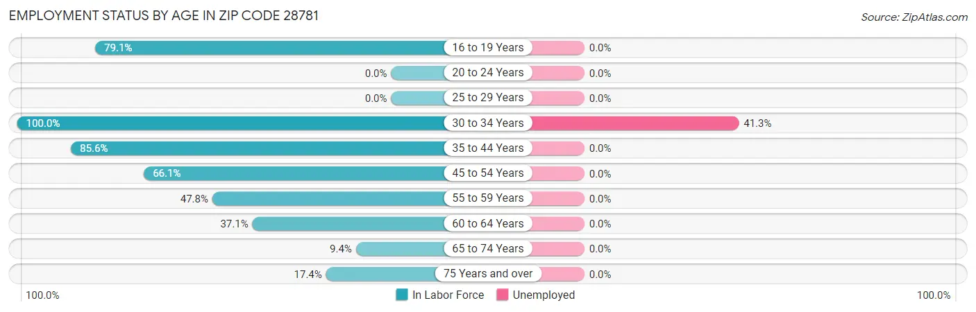 Employment Status by Age in Zip Code 28781