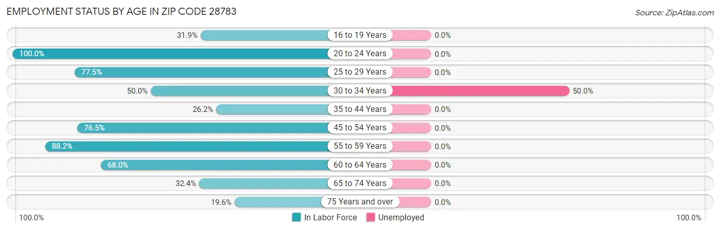 Employment Status by Age in Zip Code 28783