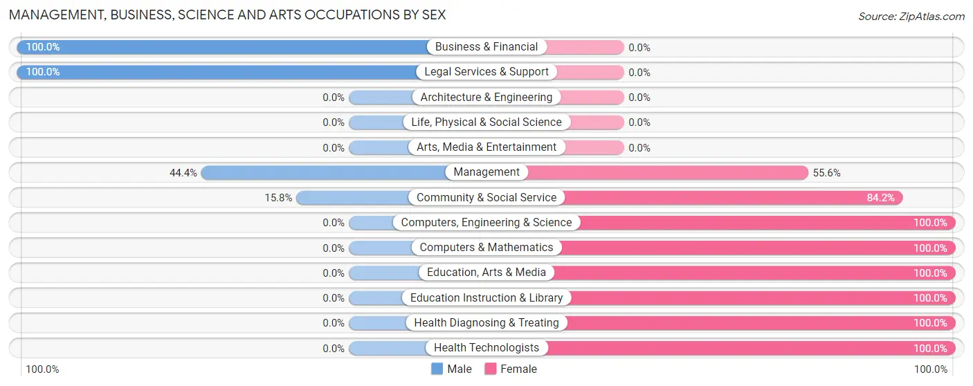 Management, Business, Science and Arts Occupations by Sex in Zip Code 28783
