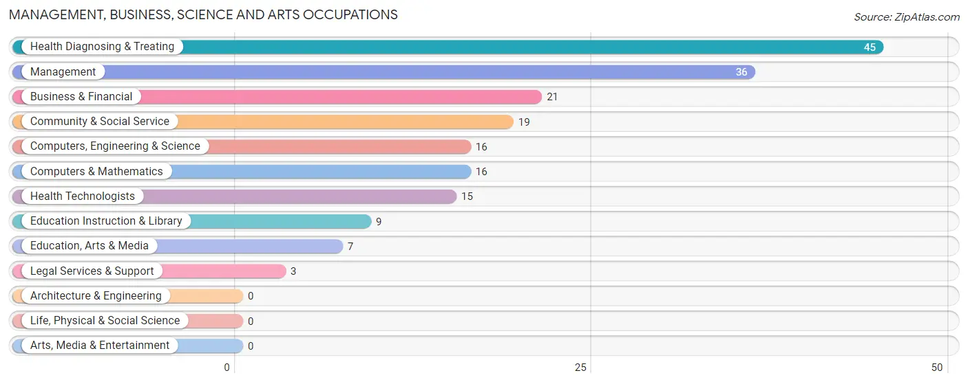 Management, Business, Science and Arts Occupations in Zip Code 28783