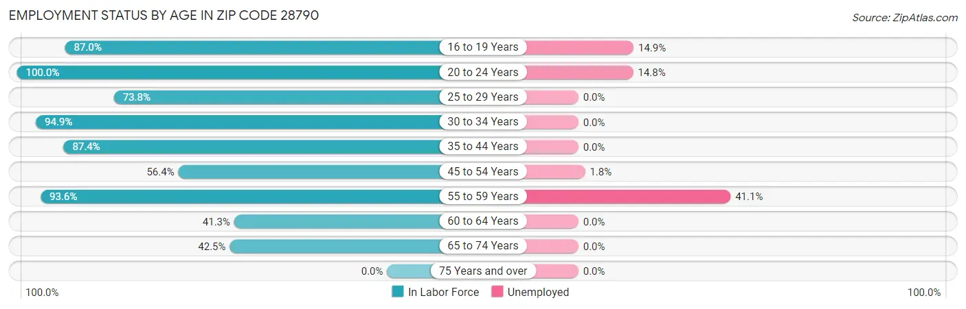 Employment Status by Age in Zip Code 28790