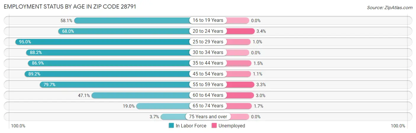 Employment Status by Age in Zip Code 28791