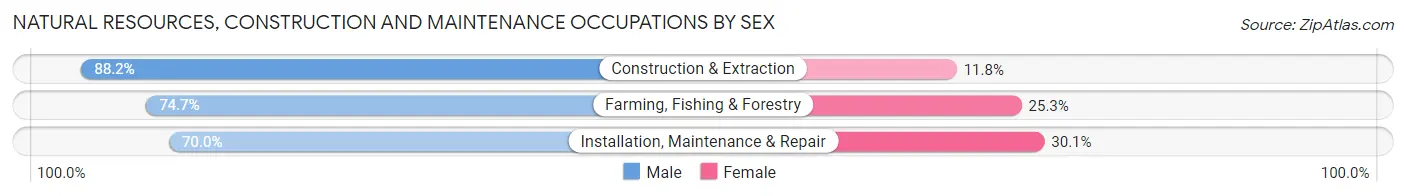 Natural Resources, Construction and Maintenance Occupations by Sex in Zip Code 28805