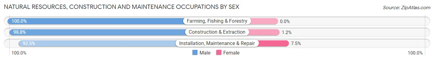 Natural Resources, Construction and Maintenance Occupations by Sex in Zip Code 28806
