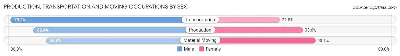 Production, Transportation and Moving Occupations by Sex in Zip Code 28806