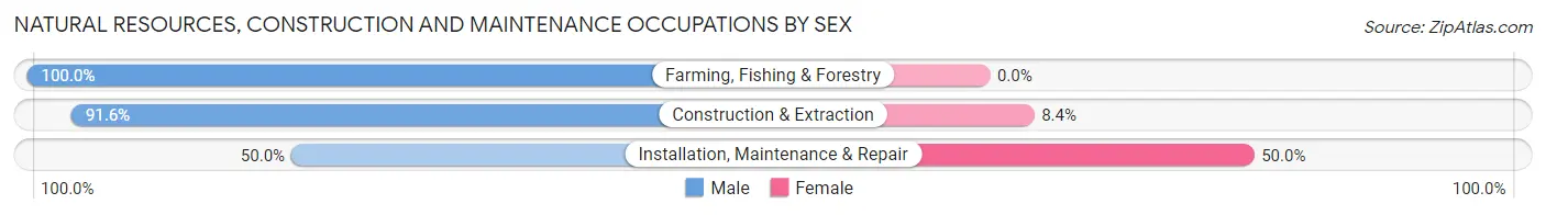 Natural Resources, Construction and Maintenance Occupations by Sex in Zip Code 28901