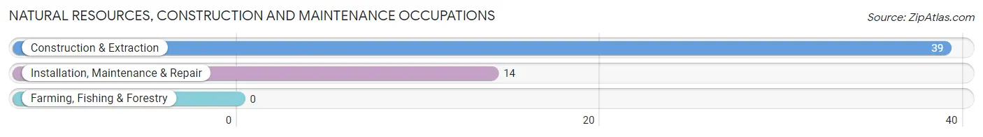 Natural Resources, Construction and Maintenance Occupations in Zip Code 28902