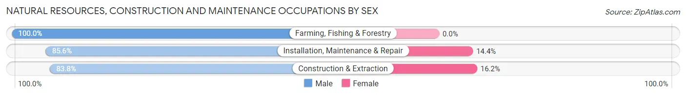 Natural Resources, Construction and Maintenance Occupations by Sex in Zip Code 28906