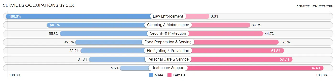 Services Occupations by Sex in Zip Code 28906