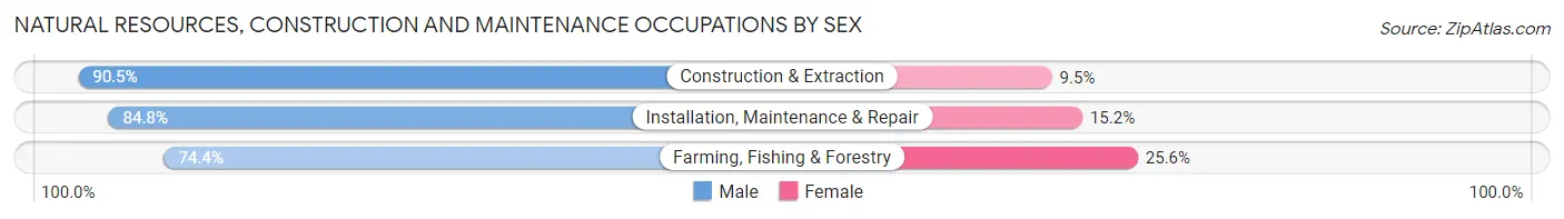 Natural Resources, Construction and Maintenance Occupations by Sex in Zip Code 29006