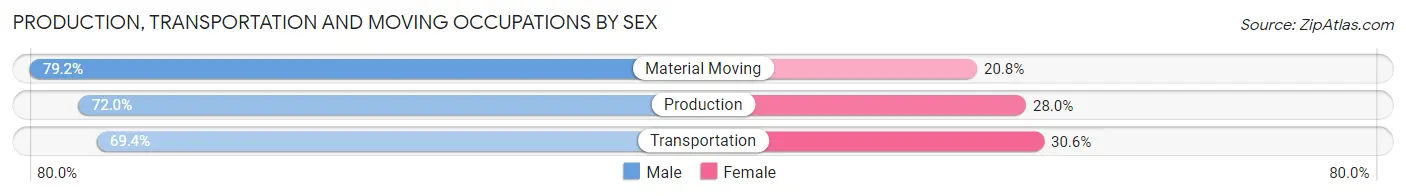 Production, Transportation and Moving Occupations by Sex in Zip Code 29006