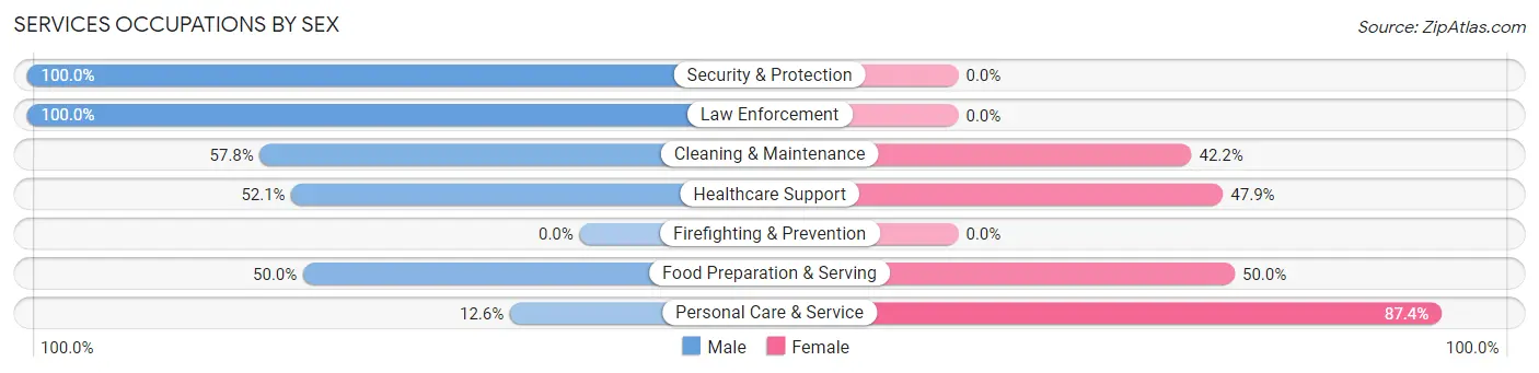 Services Occupations by Sex in Zip Code 29006