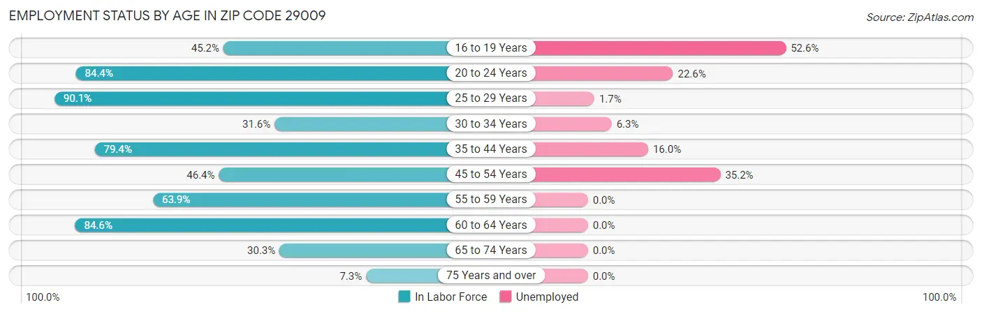 Employment Status by Age in Zip Code 29009