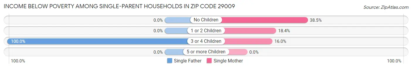Income Below Poverty Among Single-Parent Households in Zip Code 29009