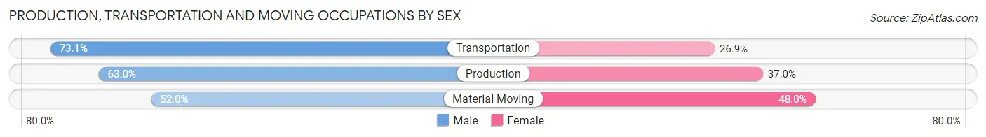 Production, Transportation and Moving Occupations by Sex in Zip Code 29018