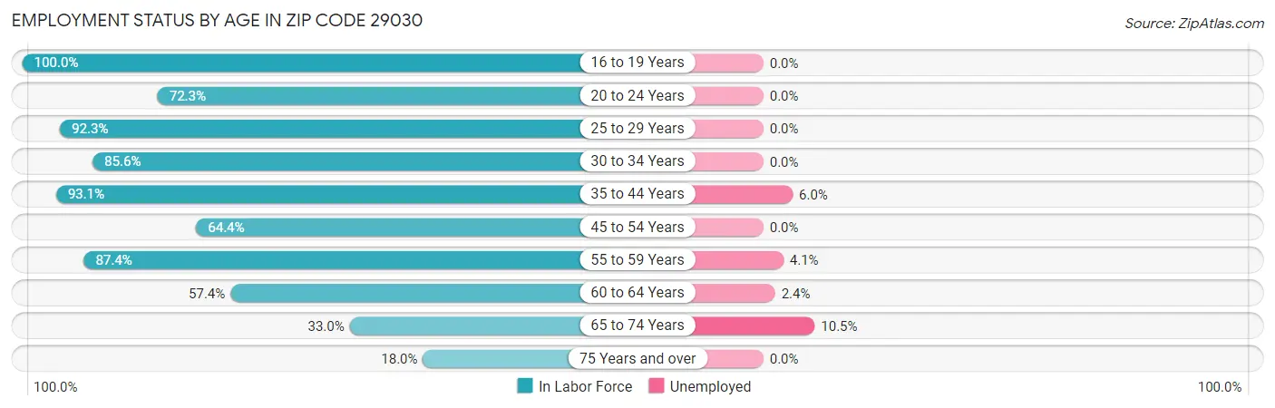 Employment Status by Age in Zip Code 29030