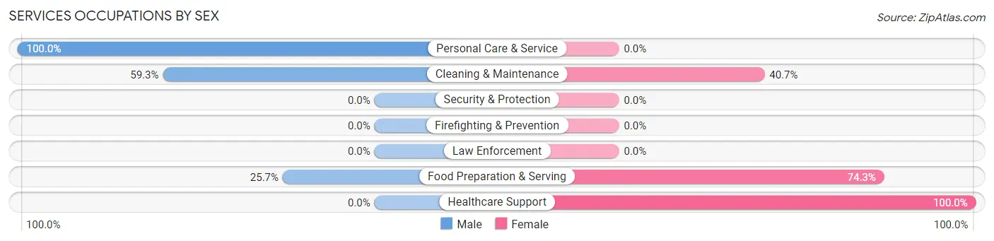 Services Occupations by Sex in Zip Code 29031