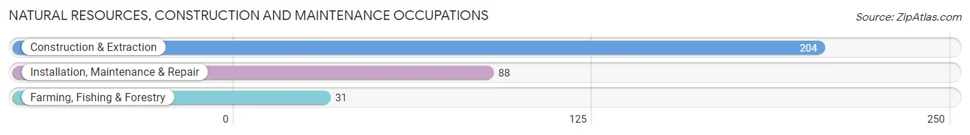 Natural Resources, Construction and Maintenance Occupations in Zip Code 29032