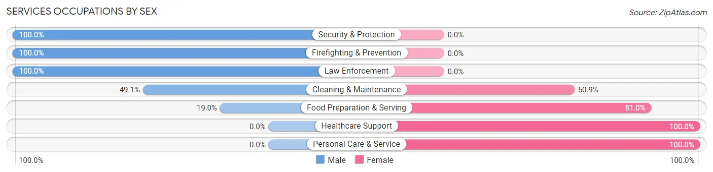 Services Occupations by Sex in Zip Code 29032