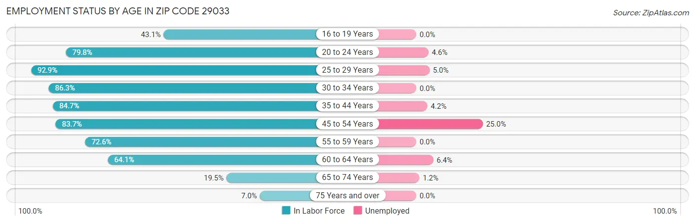 Employment Status by Age in Zip Code 29033