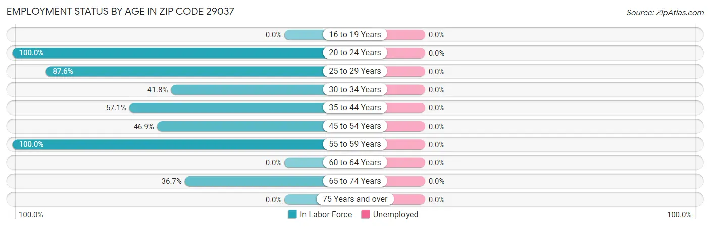 Employment Status by Age in Zip Code 29037