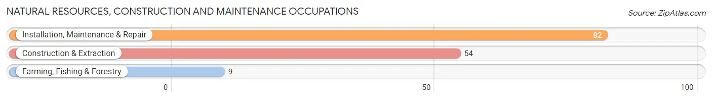 Natural Resources, Construction and Maintenance Occupations in Zip Code 29039