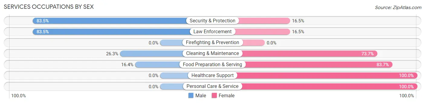 Services Occupations by Sex in Zip Code 29040