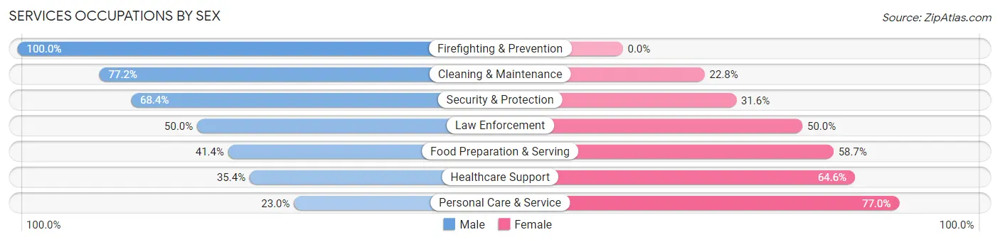 Services Occupations by Sex in Zip Code 29045