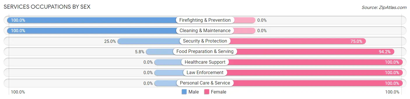 Services Occupations by Sex in Zip Code 29047