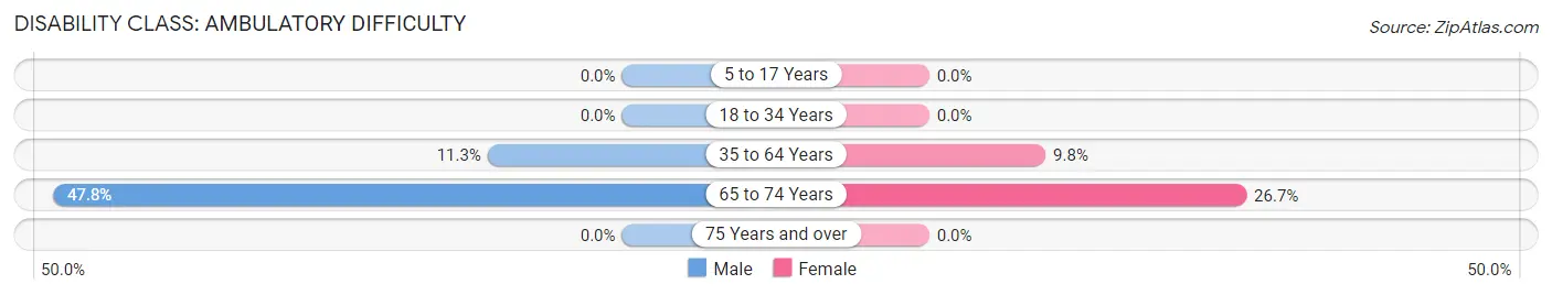 Disability in Zip Code 29051: <span>Ambulatory Difficulty</span>