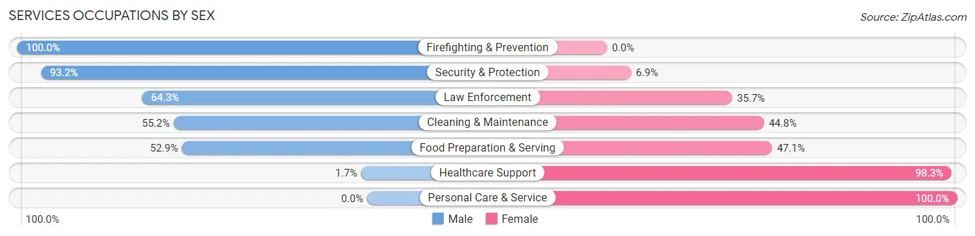 Services Occupations by Sex in Zip Code 29053