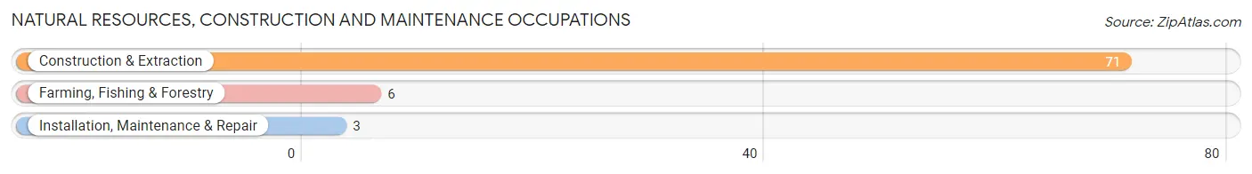 Natural Resources, Construction and Maintenance Occupations in Zip Code 29056