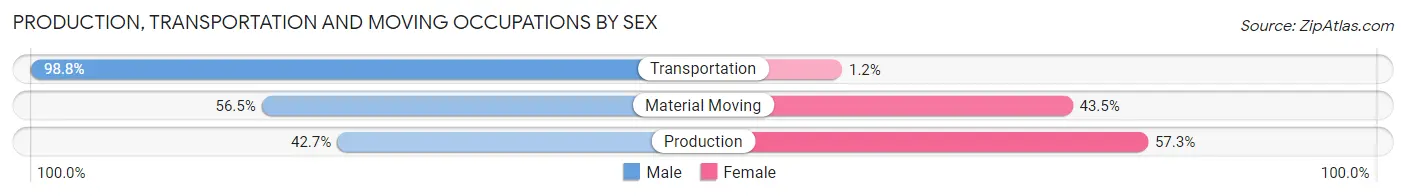 Production, Transportation and Moving Occupations by Sex in Zip Code 29059