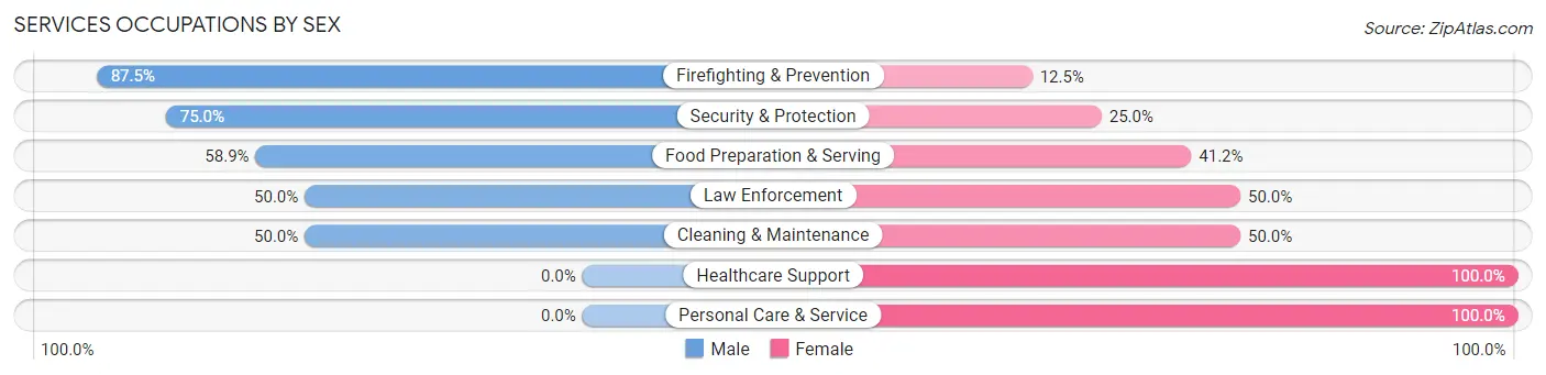 Services Occupations by Sex in Zip Code 29059