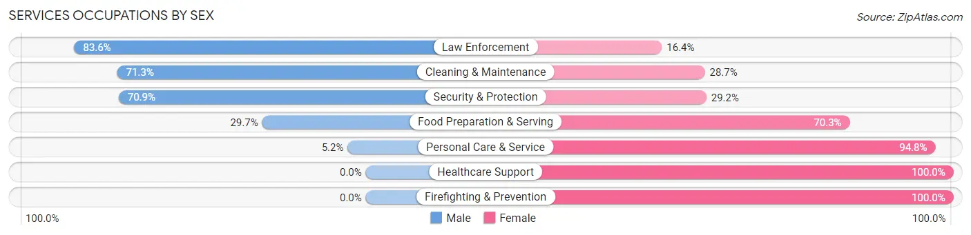 Services Occupations by Sex in Zip Code 29061