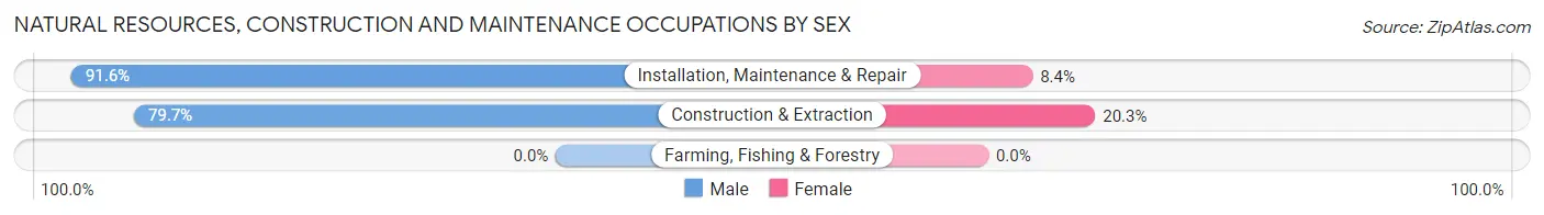 Natural Resources, Construction and Maintenance Occupations by Sex in Zip Code 29063