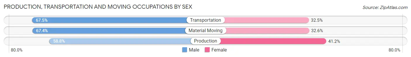 Production, Transportation and Moving Occupations by Sex in Zip Code 29063
