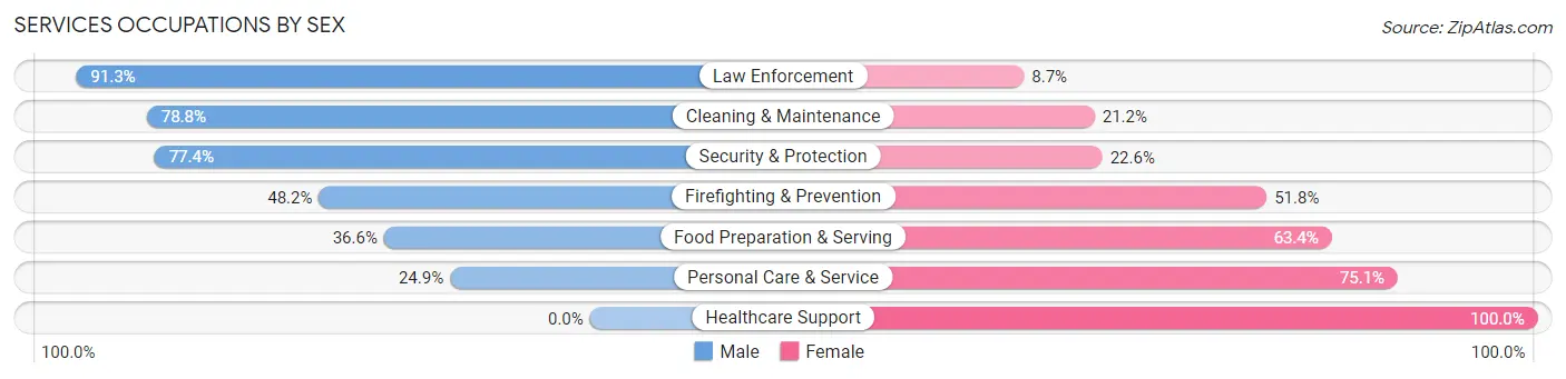 Services Occupations by Sex in Zip Code 29063
