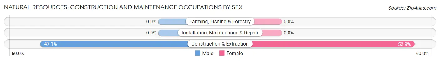 Natural Resources, Construction and Maintenance Occupations by Sex in Zip Code 29065