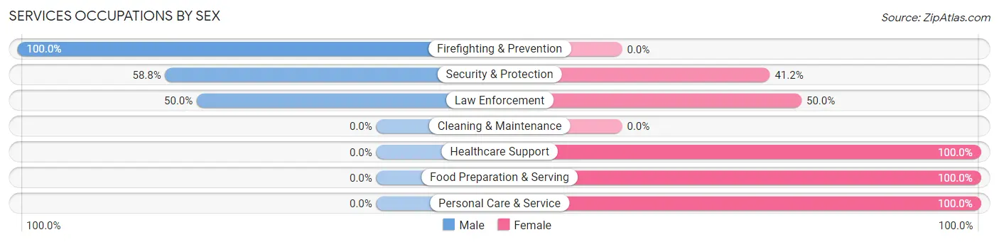 Services Occupations by Sex in Zip Code 29065