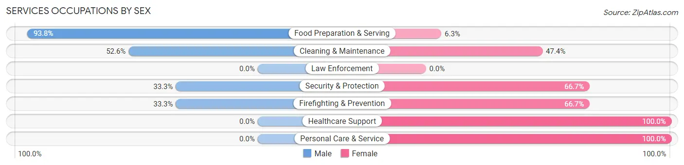 Services Occupations by Sex in Zip Code 29069