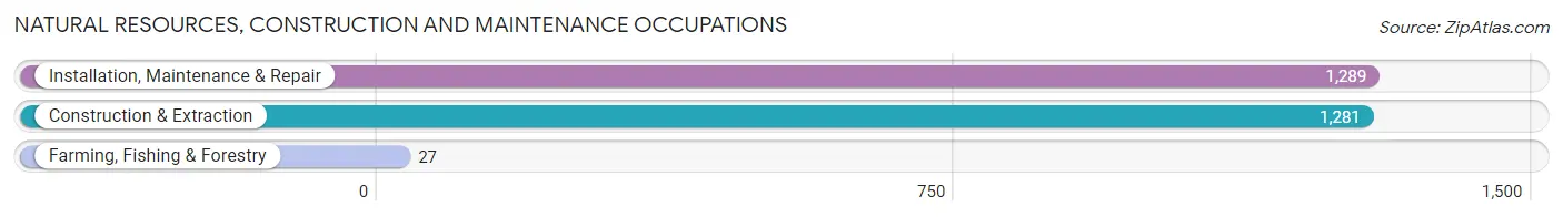 Natural Resources, Construction and Maintenance Occupations in Zip Code 29072