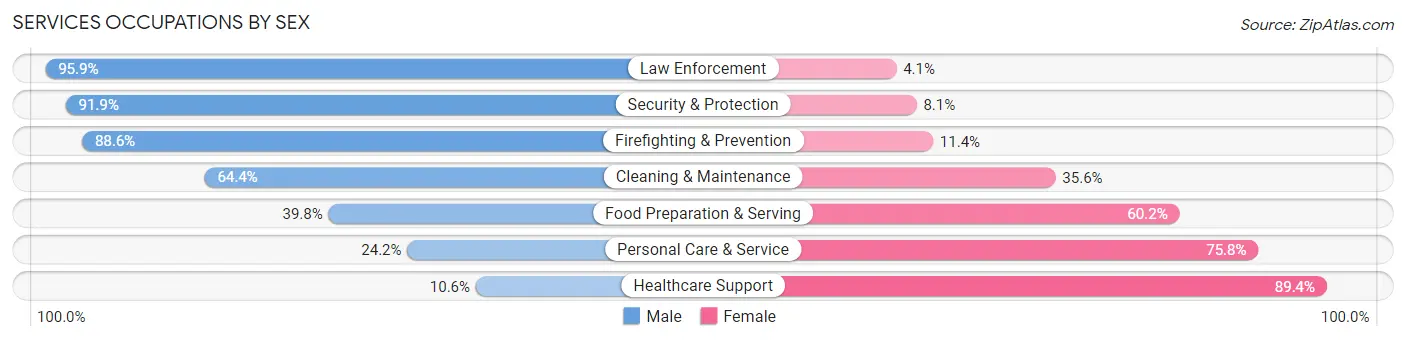 Services Occupations by Sex in Zip Code 29072
